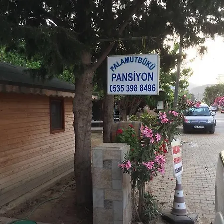 Pensión Palamutbuekue Pansiyon *